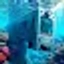Aqua Agmen comment